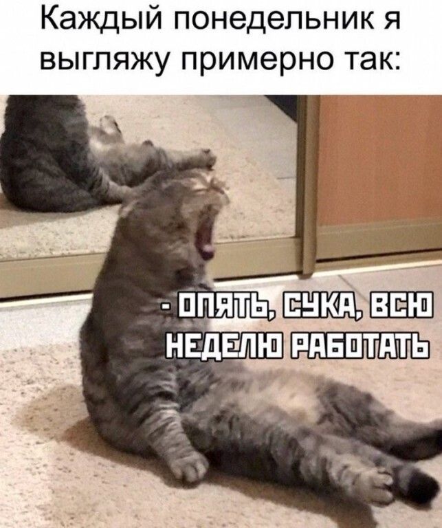 Каждый понедельник я выгляжу примерно так