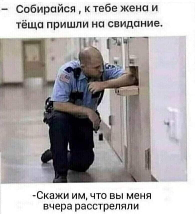 Собирайся к тебе жена и тёща пришли на свидание от Скаки ИМ ЧТО ВЫ МЕНЯ вчера расстреляли