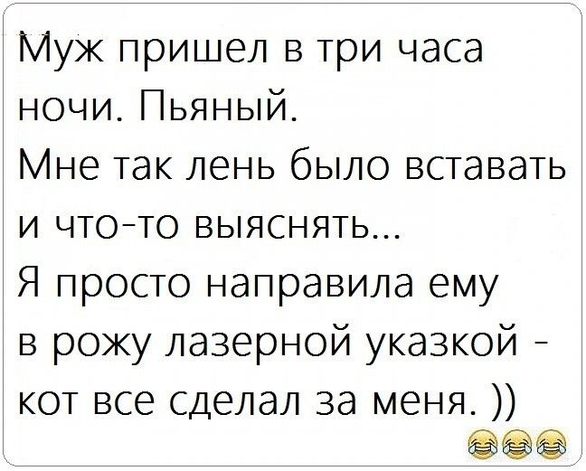 Муж пришел в три часа ночи Пьяный Мне так лень было вставать и чтоето выяснять Я просто направила ему в рожу лазерной указкой кот все сделал за меня