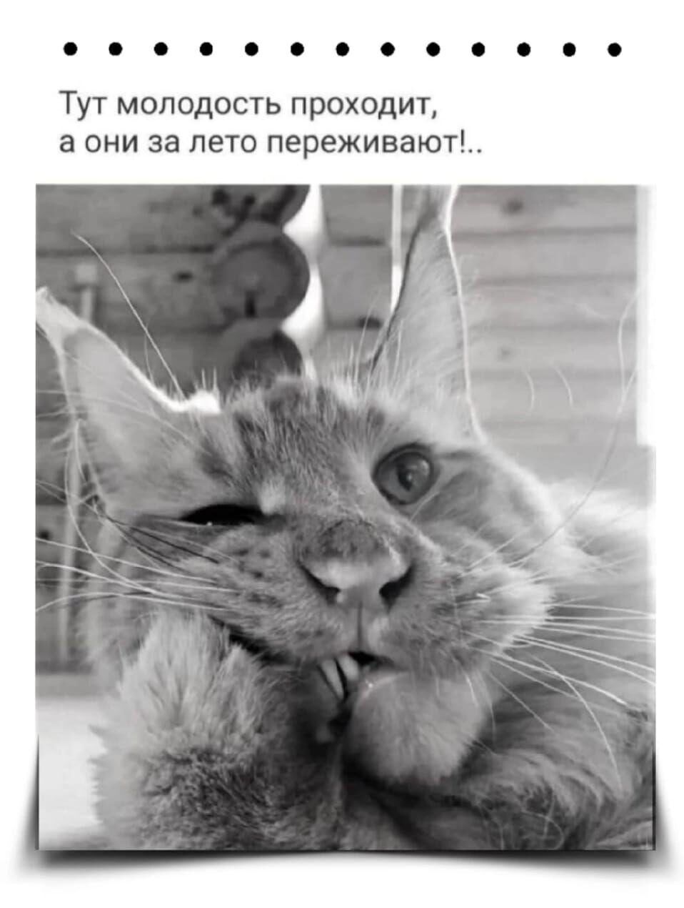 о Тут молодость проходит а они за лето пережившей