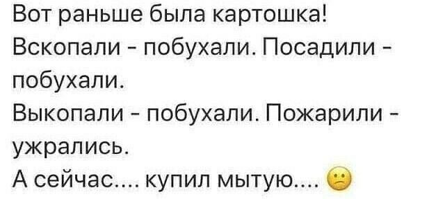 Вот раньше была картошка Вскопапи побухалш Посадили побухапи Выкопапи побухапи Пожарипи ужрались А сейчас купил мытую б