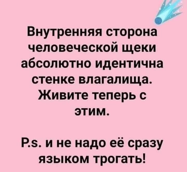 1 Внутренняя сторона человеческой щеки абсолютно идентична стенке влагалища Живите теперь с этим РЗ и не надо её сразу языком трогать