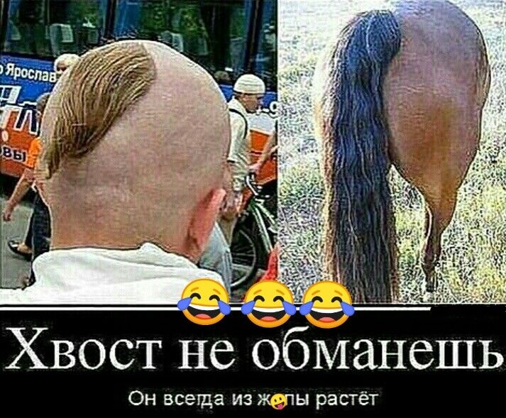 Хвост не ббМанешь Он всегда из мглы растёт