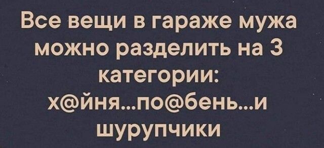 Все вещи в гараже мужа можно разделить на 3 категории хйняпобеньи шурупчики