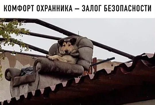 КОМФОРТ ПХРАННИКА ЗАЛПГ БЕЗППАСНПЕТИ