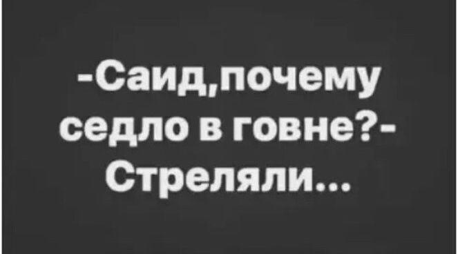 Саидпочему седло в говне Стреляли