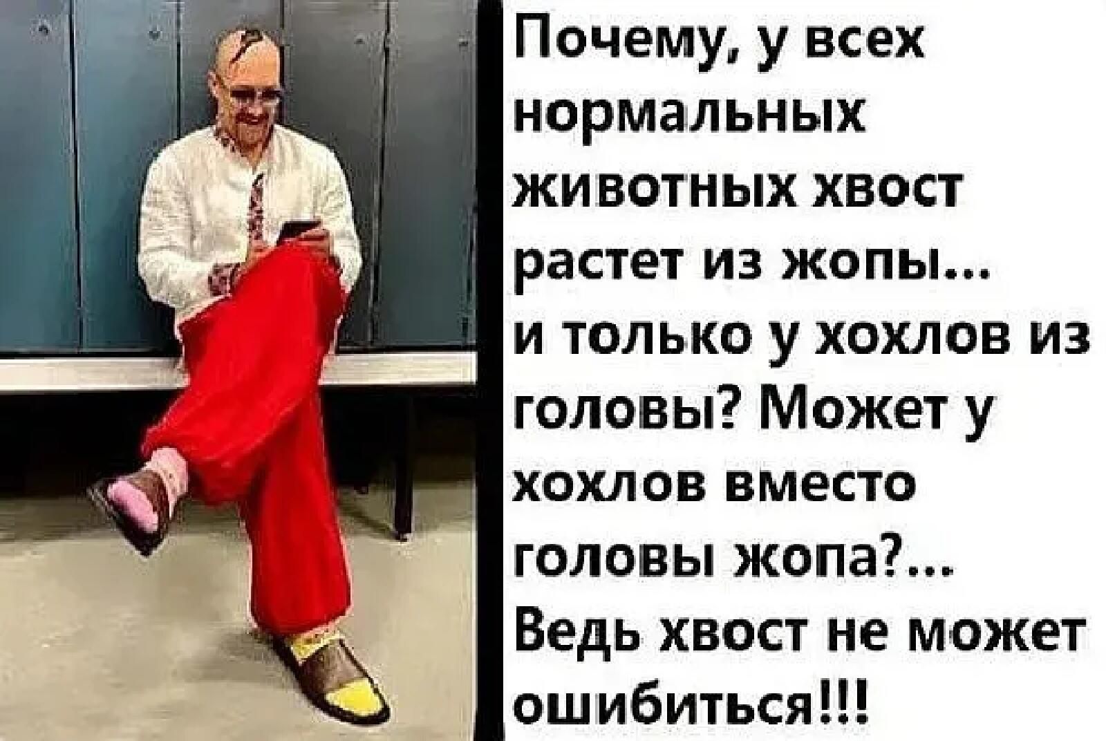 Почему у всех нормальных животных хвост растет из жопы и только у хохлов из головы Может у хохлов вместо головы жопа Ведь хвост не может ошибиться