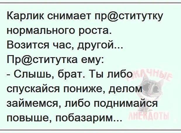 Карлик снимает прститутку нормального роста Возится час другой Прститутка ему Слышь брат Ты либо спускайся пониже делом займемся либо поднимайся повыше побазарим