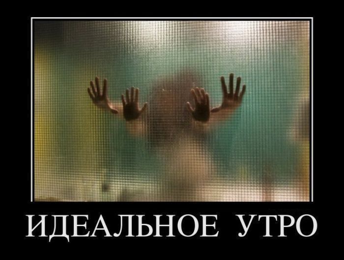 ИДЕАЛЬНОЕ УТРО