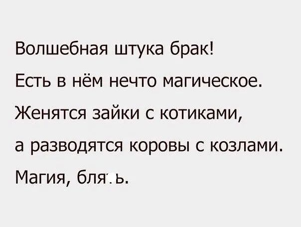 Волшебная штука брак Есть в нём нечто магическое Женятся зайки с котиками а разводятся коровы с козлами Магия бляхь