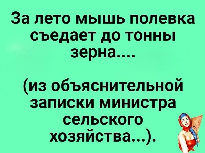 За лето мышь полевка съедает до тонны зерна из объяснительной записки министра сельского хозяйства