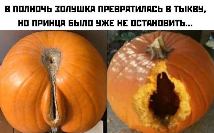 ПППНПЧЬ ЗШШШКЛ ПРЕЕРПТИППЕЬ В ТЫКЕЦ НП ПРИНЦП БЫЛИ В Е ППТПНПЕИТЬ А 1