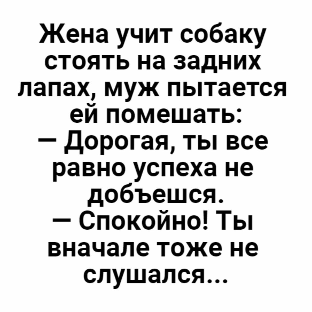 Жена учит собаку стоять на задних лапах муж пытается ей помешать Дорогая ты все равно успеха не добъешся Спокойно Ты вначале тоже не слушался
