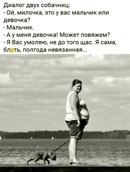 диалог двух собачниц ой мипочка это у вас мальчик или девочка Мальчик А у меня девочка Может повяжем Я Вас умоляю не до того щас Я сама бл ть полгода невязаиная