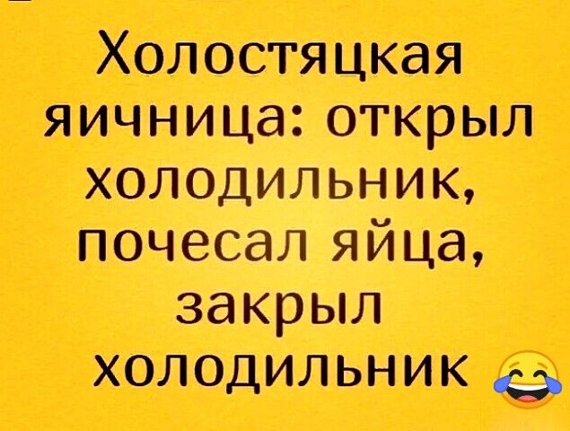 Холостяцкая яичница открыл холодильник почесал яйца закрыл холодильник 9