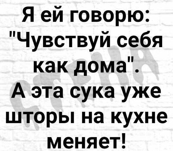 Я ей говорю Чувствуй себя как дома А эта сука уже шторы на кухне меняет
