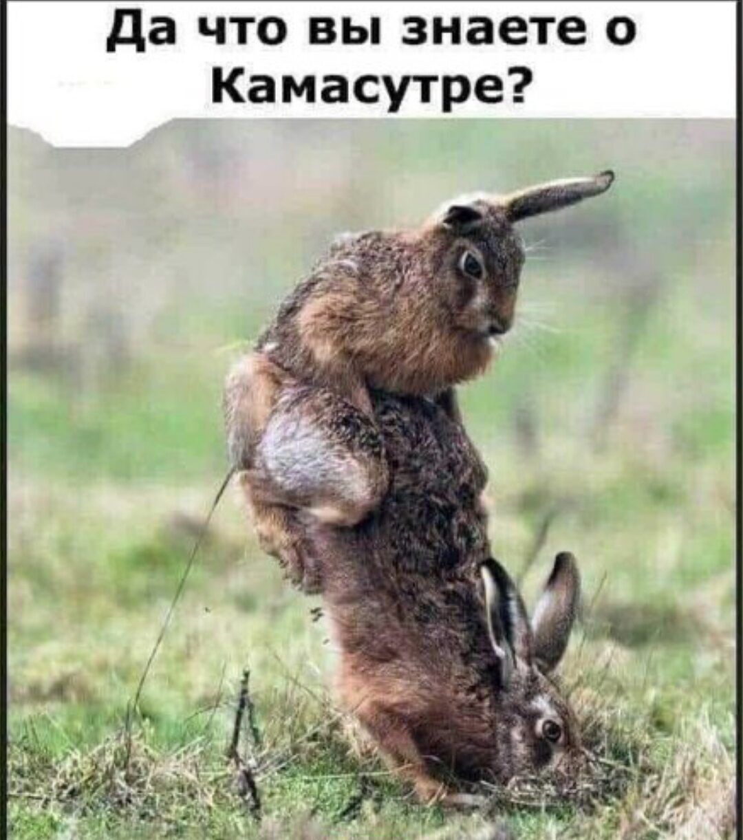 да что вы знаете о Камасутре