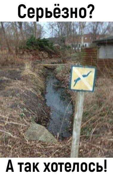 Серьезно А та кхотелось