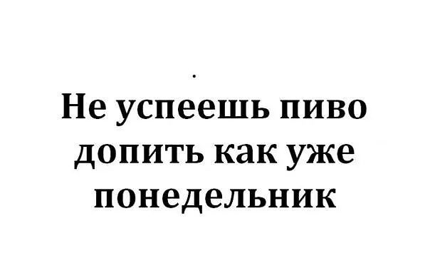 Не успеешь пиво допить как уже понедельник