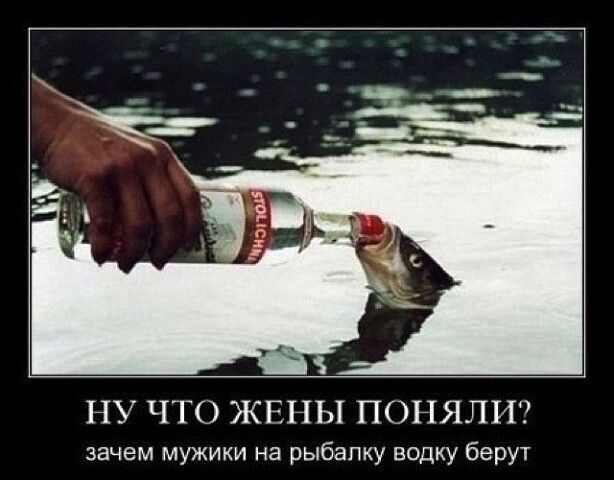 __ _ НУ ЧТО ЖЕНЫ ПОНЯЛИ зачем мужики на рыбалку водку берут