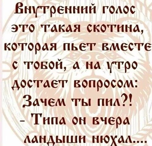 Внутренний гоаос это такая скотина которая пьет вместе с товой а на утро достает вопросом Зачем ты на Типа он вчера аандышн нюхаа