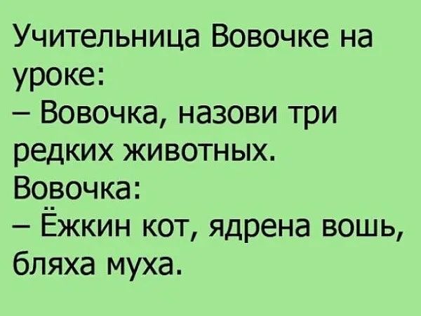 Учительница Вовочке на уроке Вовочка назови три редких животных Вовочка Ёжкин кот ядрена вошь бляха муха