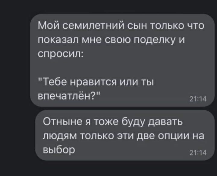 Мой семилетний сын только что показал мне свою поделку и спросил Тебе нравится или ты впечатлён 2 Отныне я тоже буду давать людям только эти две опции на выбор пм