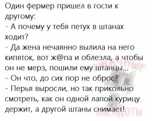 Один фермер пришел в гости дРУГОМУі А почему у тебя петух в штанах ходит Да жена нечаянно выпила на него кипяток вот Жпа и облезла а чтобы он не мерз пошили ему штанцы Он что до сих пор не оброс Перья выросли но так прикольно смотреть как он одной лапой курицу держит а другой штаны снимает