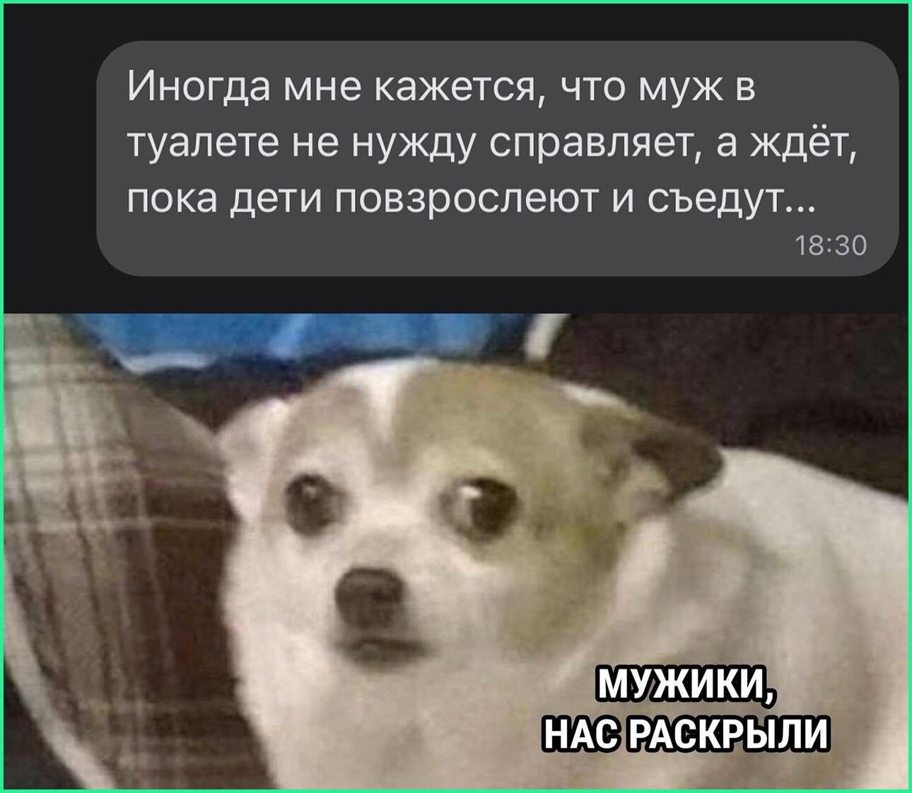 Парочка едет на спортивном автомобиле Она дорогой не надо ехать так быстро  я боюсь Он А ты закрой глаза как я - выпуск №1617216