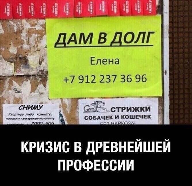 ь ці ні іі 1 га 13 стрижки спвдчек кошечек кризис в древнейшей профессии