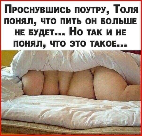 Проснувшись поутру Толя понял что пить он БОЛЬШЕ не БУДЕТ Но их и нв понял что это ТАКОЕ ж