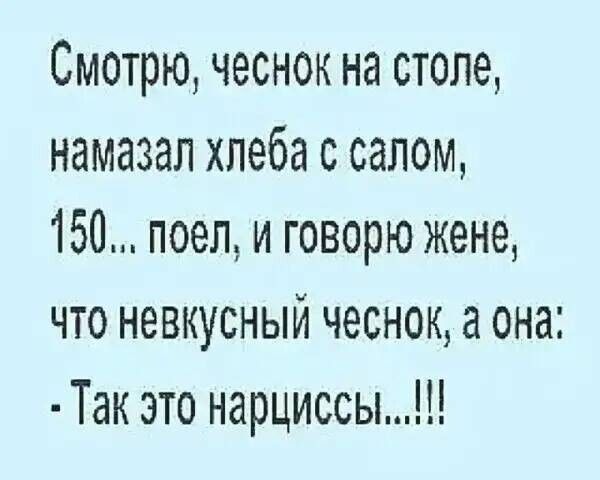 Смотрю чеснок на столе намазал хлеба с салом 150 поел и говорю жене что невкусный чеснок а она Так это нарциссы
