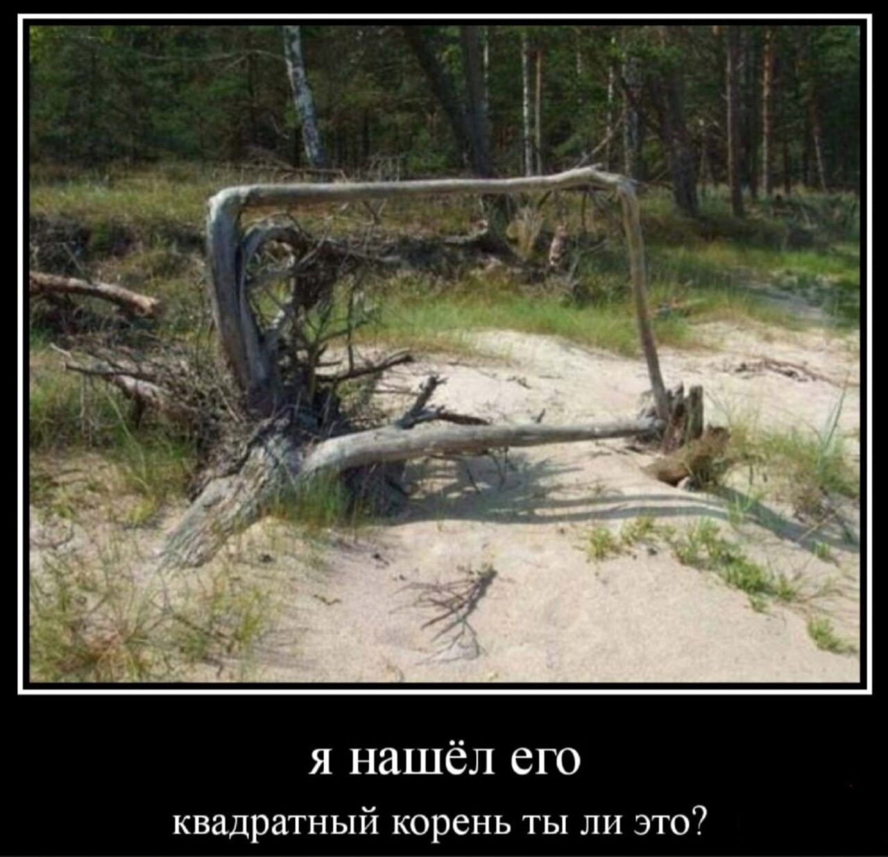 я нашёл его квадратный корень ты ли это7