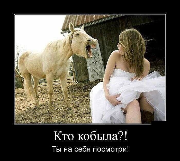 Кто кобыла Ты на себя посмотри