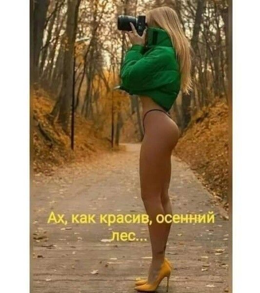 Ахкаі крёсив осенний Лес