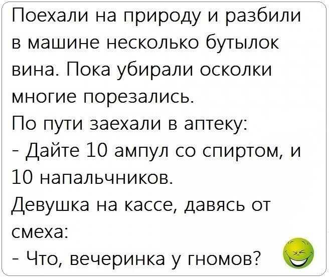 Поехали на природу и разбили в машине несколько бутылок вина Пока убирали осколки многие перезапись По пути заехали в аптеку Дайте 10 ампул со спиртом и 10 напальчников Девушка на кассе давясь от смеха Что вечеринка у гномов