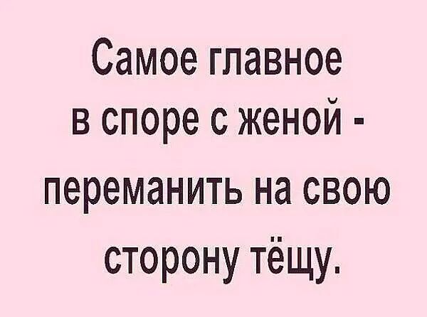 Самое главное в споре с женой переманить на свою сторону тёщу