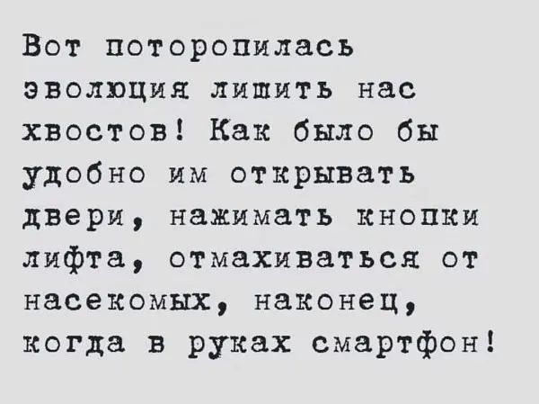 Вот поторопилась эволюция лишить нас хвостов Как было бы удобно им открывать двери нажимать кнопки лифта отмахиватъся от насекомых наконец когда в руках смартфон
