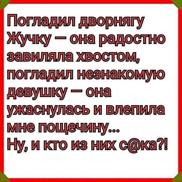 ПХ Погледил дворнягу Жучку она радостно завиляла хвостом погледил незнакомую девушку она ужеснулесь и влепила мне пощечину Ну и кто из них ска 3 назищне н