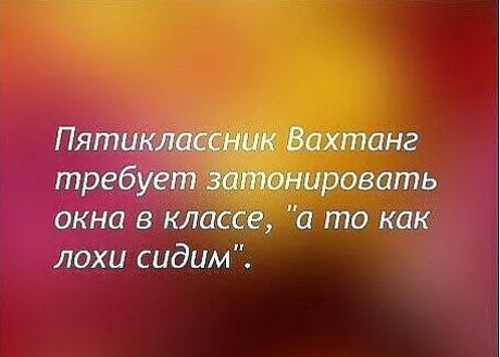 Пятник Вахтанг требідгвт затонировать окна в классе и то как лохи сидим