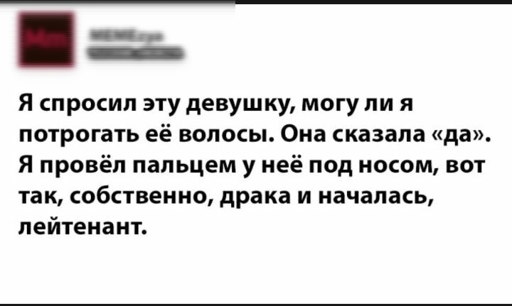 темпу Я спросил эту девушку могу ли я потрогать её волосы Она сказала да Я провёл пальцем у неё под носом вот так собственно драка и началась лейтенант