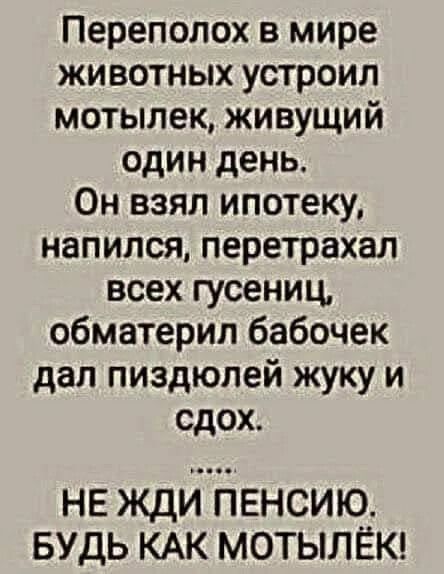Переполох в мире животных устроил мотылек живущий один день Он взял ипотеку напился перетрахал всех гусениц обматерил бабочек дал пиздюпей жуку и сдох НЕ ЖДИ ПЕНСИЮ БУДЬ КАК МОТЫЛЁК