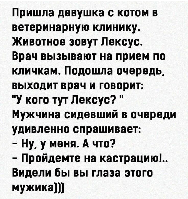 Пришла девушка с котом в ветеринарную клинику Животное зовут Лексус Врач вызывают на прием по кличкам Подошла очередь выходит врач и говорит У кого тут Лексус Мужчина сидевший в очереди удивленно спрашивает Ну у меня А что Пройдемте на кастрацию Видели Бы вы глаза этого мужика