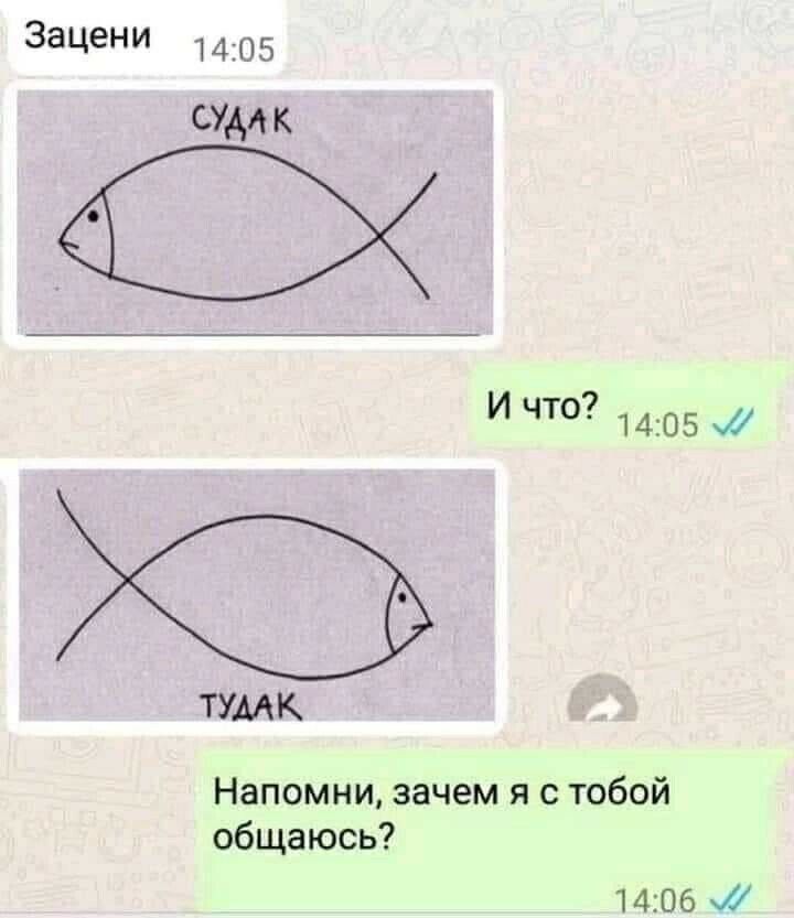 Зацени М 05 судак ТУМК Напомни зачем я с тобой общаюсь 1406 мд