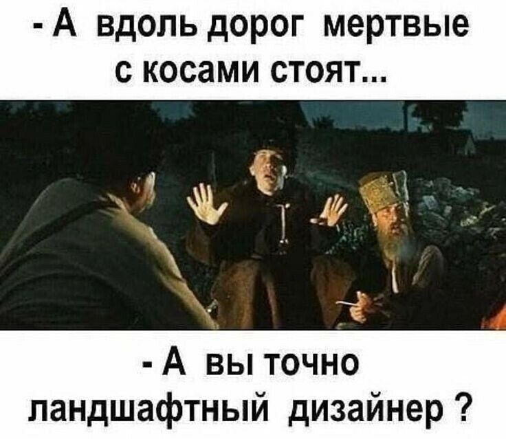 А ВДОЛЬ дорог мертвые С КОСЗМИ СТОЯТ 1 г д А вы точно ландшафтный дизайнер