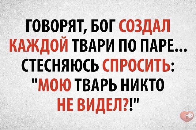 ГОВОРЯТ БОГ СОЗДАЛ КАЖДОЙ ТВАРИ ПО ПАРЕ СТЕСНЯЮСЬ СПРОСИТЬ МОЮ ТВАРЬ НИКТО НЕ ВИДЕЛ