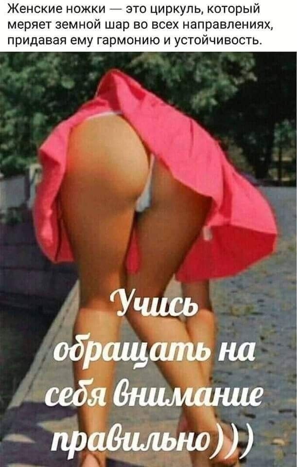 Женские ножки это циркуль который меряет земной шар во всех направлениях придавая ему гармонию и устойчивость