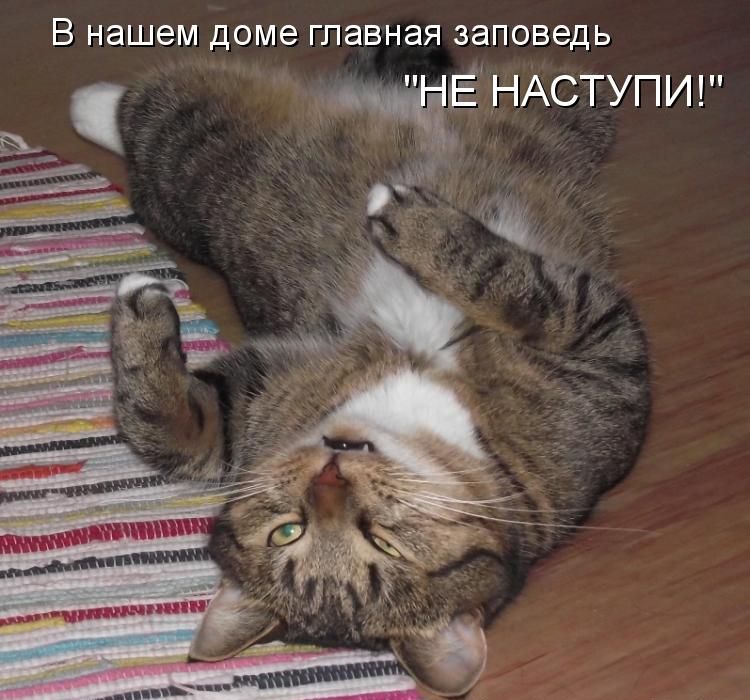 В нашем ДОМЕ главная заповедь ЕНАСТУПИ 1 о