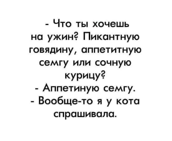 Что ты хочешь на ужинс Пикантную говядину аппетитную семгу или сочную курицу Аппетиную семгу Вообщето я у кота спрашивала