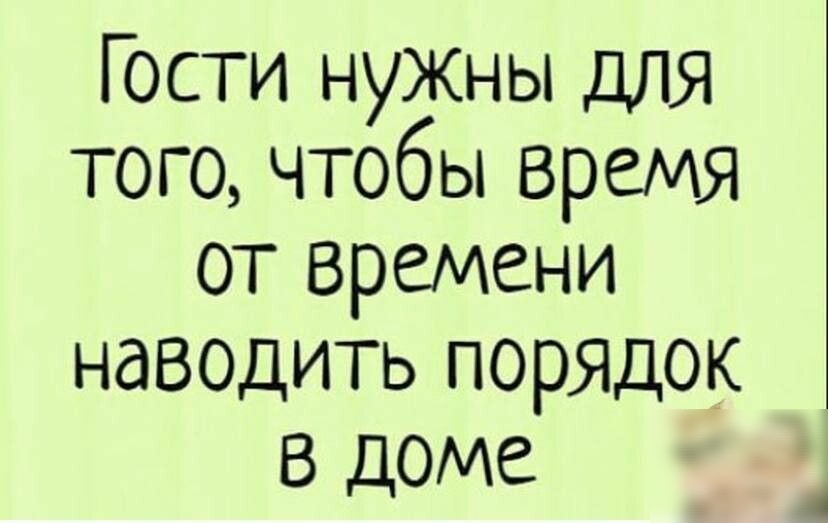 Гости нужны для того чтобы время от времени наводить порядок в доме